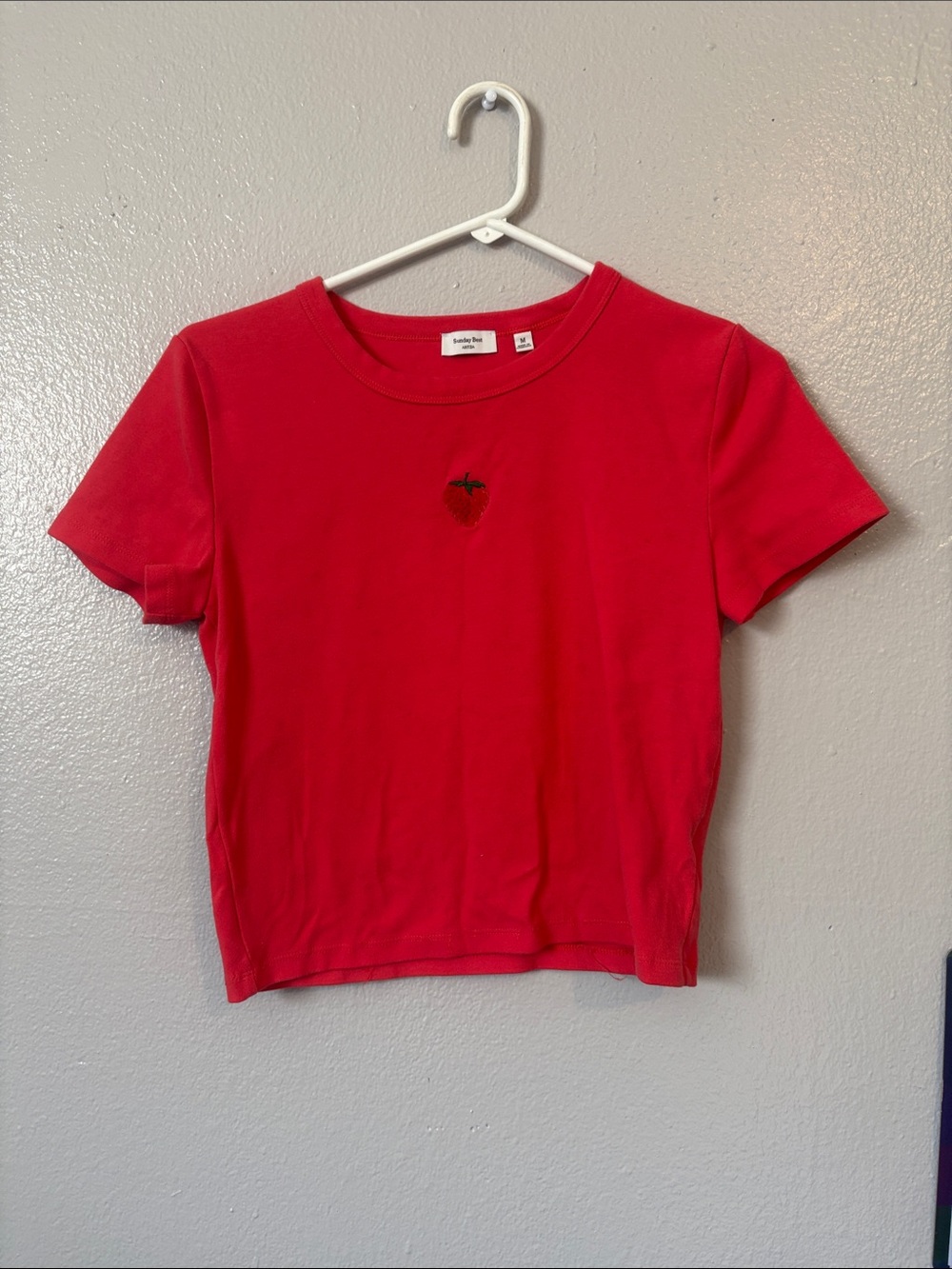 Sunday Best Red Crop Top with Strawberry Embroidery